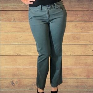 NWT Anthropolgy Blue Paperboy Chino Pants ~size 8